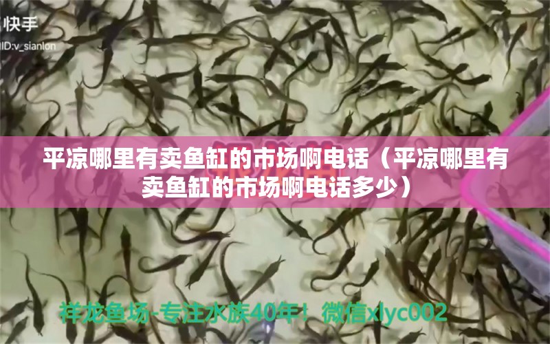 平涼哪里有賣魚缸的市場啊電話（平涼哪里有賣魚缸的市場啊電話多少）