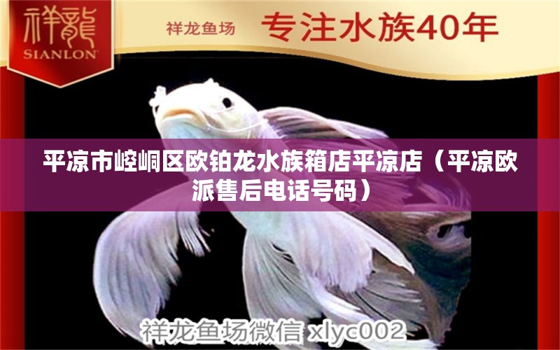 平?jīng)鍪嗅轻紖^(qū)歐鉑龍水族箱店平?jīng)龅辏ㄆ經(jīng)鰵W派售后電話號碼）