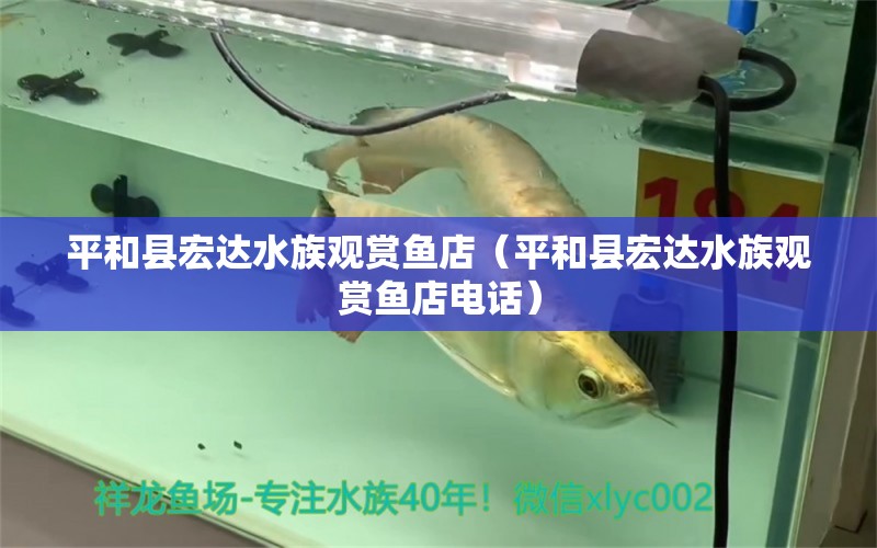 平和縣宏達(dá)水族觀賞魚(yú)店（平和縣宏達(dá)水族觀賞魚(yú)店電話） 全國(guó)水族館企業(yè)名錄