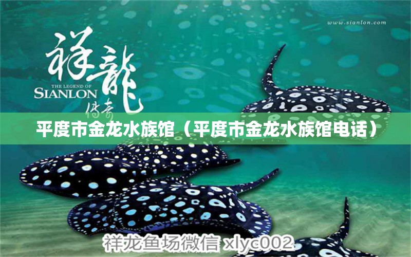 平度市金龍水族館（平度市金龍水族館電話） 全國水族館企業(yè)名錄