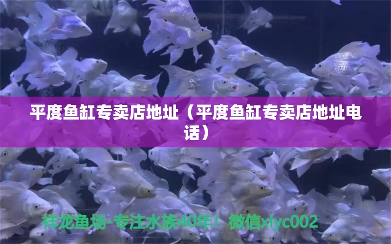 平度魚缸專賣店地址（平度魚缸專賣店地址電話） 可麗愛魚缸