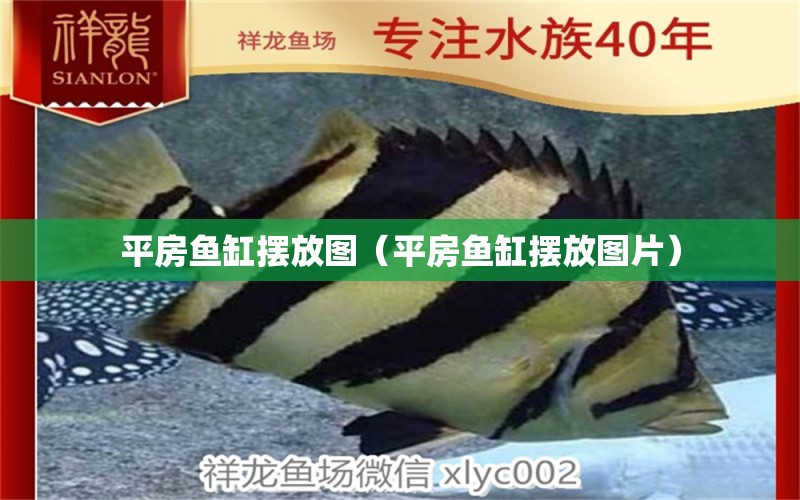 平房魚缸擺放圖（平房魚缸擺放圖片） 祥龍水族醫(yī)院