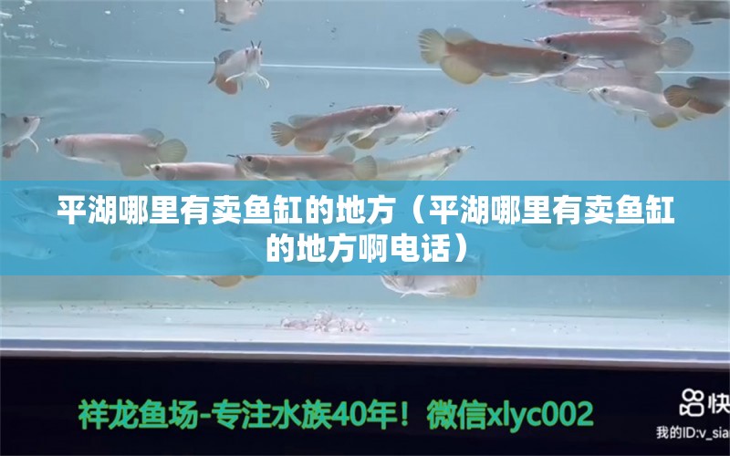 平湖哪里有賣魚缸的地方（平湖哪里有賣魚缸的地方啊電話） 馬拉莫寶石魚