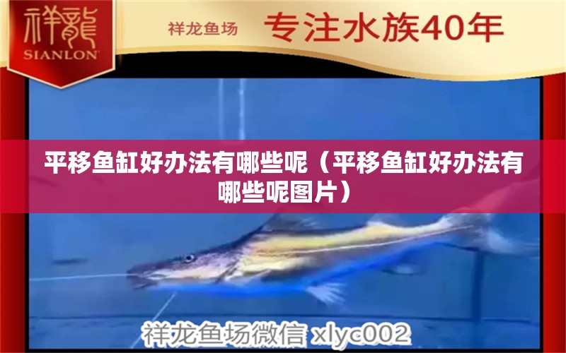 平移魚缸好辦法有哪些呢（平移魚缸好辦法有哪些呢圖片） 其他品牌魚缸