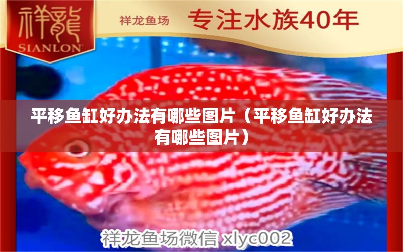 平移魚缸好辦法有哪些圖片（平移魚缸好辦法有哪些圖片）