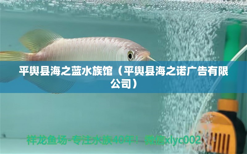 平輿縣海之藍(lán)水族館（平輿縣海之諾廣告有限公司）