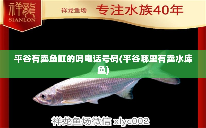 平谷有賣魚缸的嗎電話號(hào)碼(平谷哪里有賣水庫(kù)魚) 黑白雙星魚