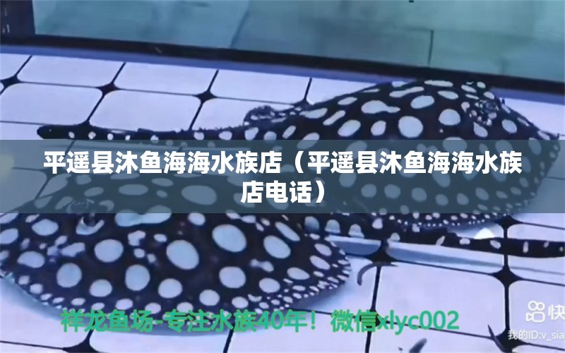 平遙縣沐魚海海水族店（平遙縣沐魚海海水族店電話） 全國水族館企業(yè)名錄