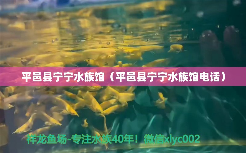 平邑縣寧寧水族館（平邑縣寧寧水族館電話）