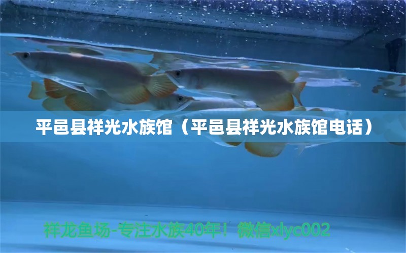 平邑縣祥光水族館（平邑縣祥光水族館電話） 全國(guó)水族館企業(yè)名錄