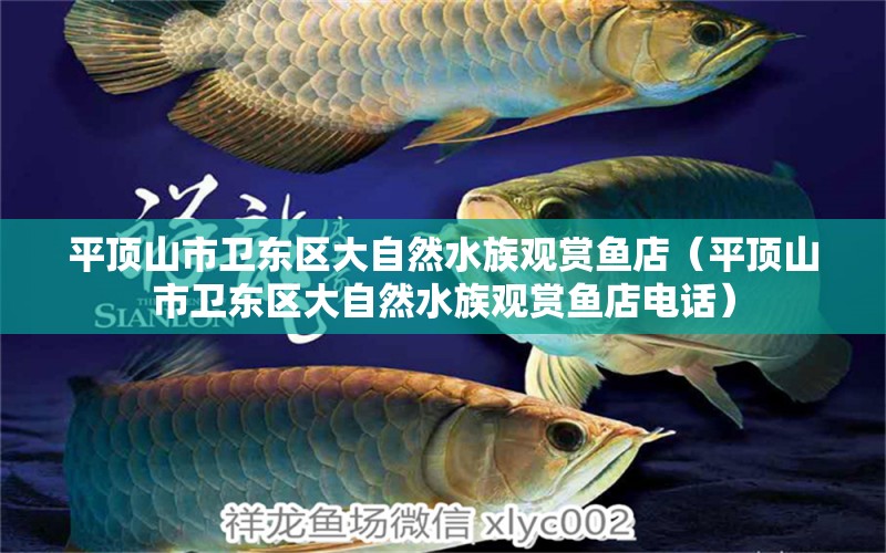 平頂山市衛(wèi)東區(qū)大自然水族觀賞魚店（平頂山市衛(wèi)東區(qū)大自然水族觀賞魚店電話） 全國水族館企業(yè)名錄