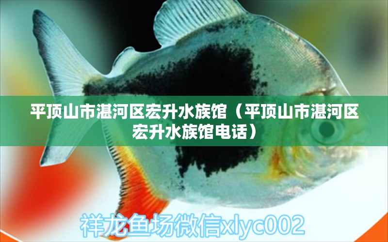 平頂山市湛河區(qū)宏升水族館（平頂山市湛河區(qū)宏升水族館電話）