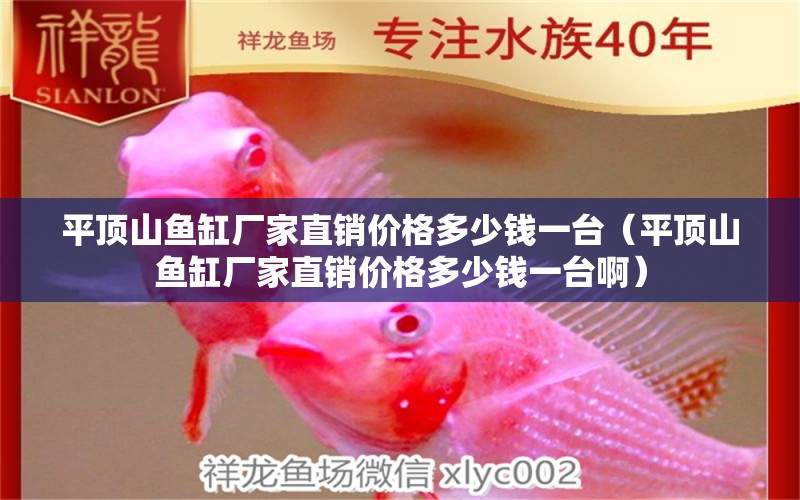 平頂山魚缸廠家直銷價格多少錢一臺（平頂山魚缸廠家直銷價格多少錢一臺?。? title=