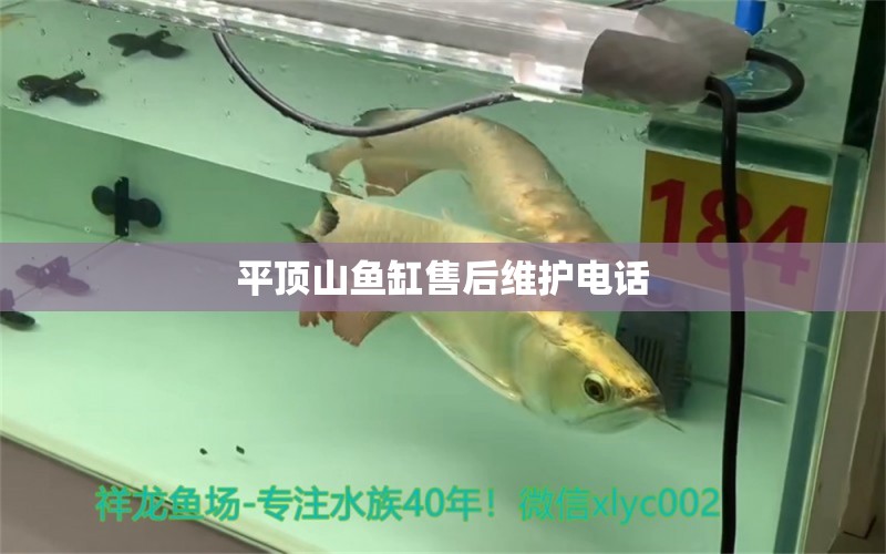 平頂山魚缸售后維護電話 其他品牌魚缸