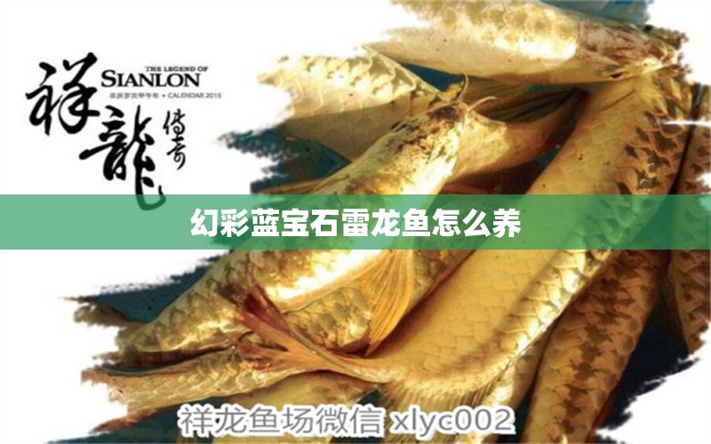 幻彩藍(lán)寶石雷龍魚怎么養(yǎng)