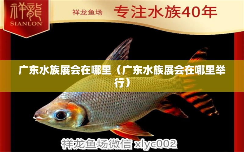 廣東水族展會(huì)在哪里（廣東水族展會(huì)在哪里舉行）