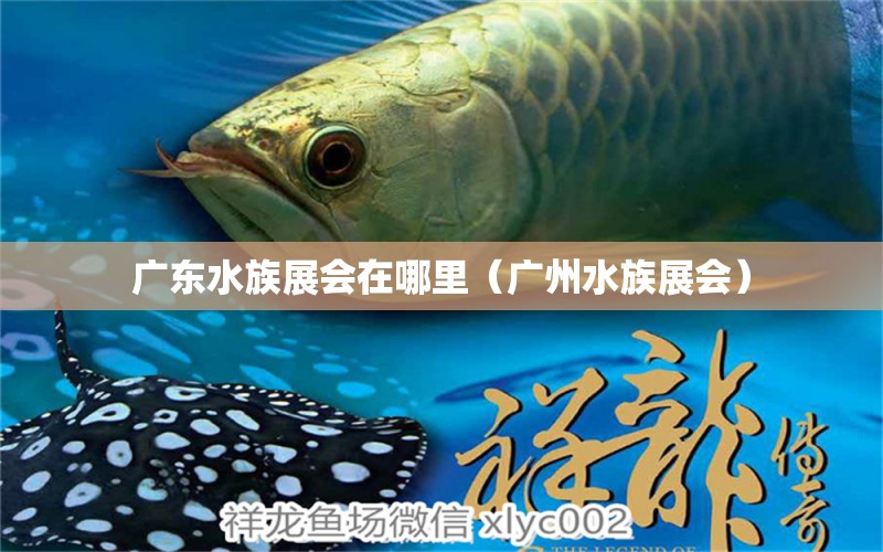 廣東水族展會(huì)在哪里（廣州水族展會(huì)） 水族展會(huì)