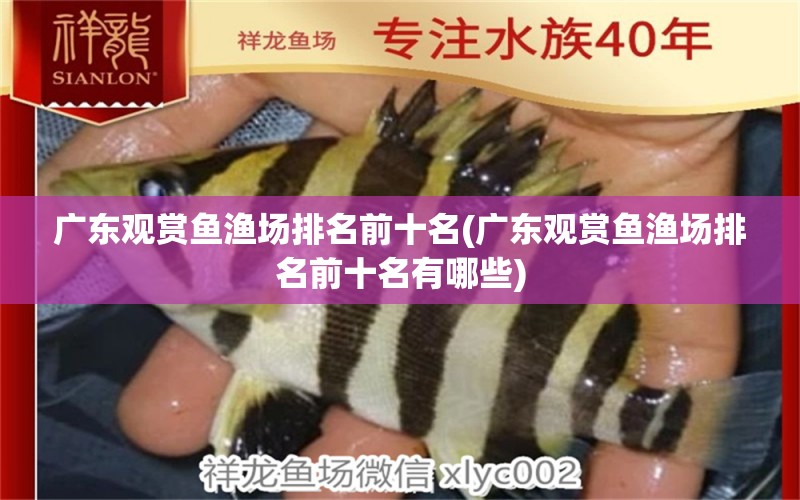 廣東觀賞魚漁場(chǎng)排名前十名(廣東觀賞魚漁場(chǎng)排名前十名有哪些) 斯維尼關(guān)刀魚