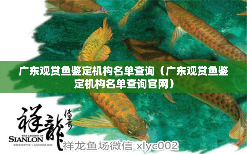 廣東觀賞魚鑒定機構名單查詢（廣東觀賞魚鑒定機構名單查詢官網(wǎng)）