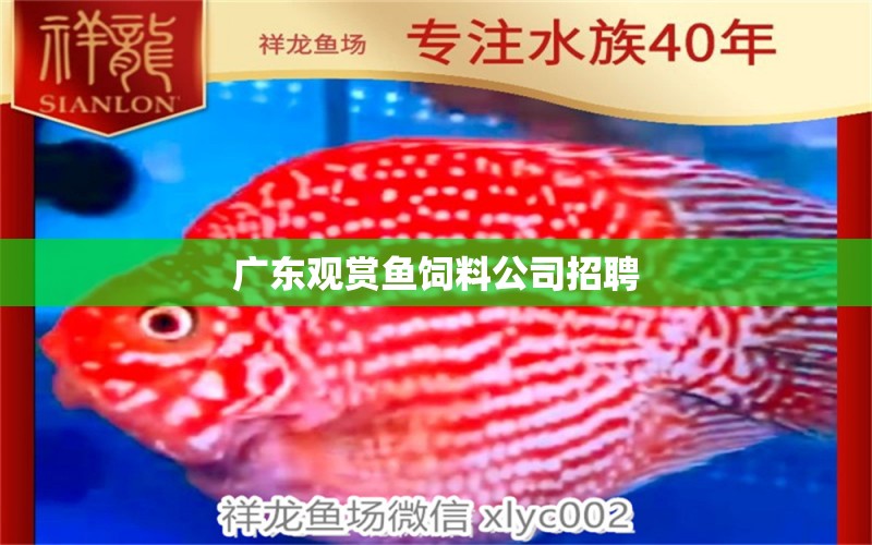 廣東觀賞魚飼料公司招聘