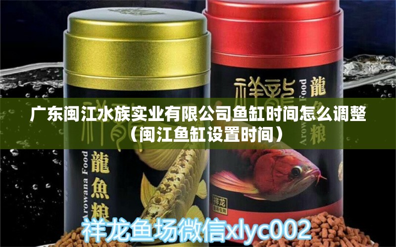 廣東閩江水族實業(yè)有限公司魚缸時間怎么調(diào)整（閩江魚缸設(shè)置時間） 觀賞魚市場（混養(yǎng)魚）