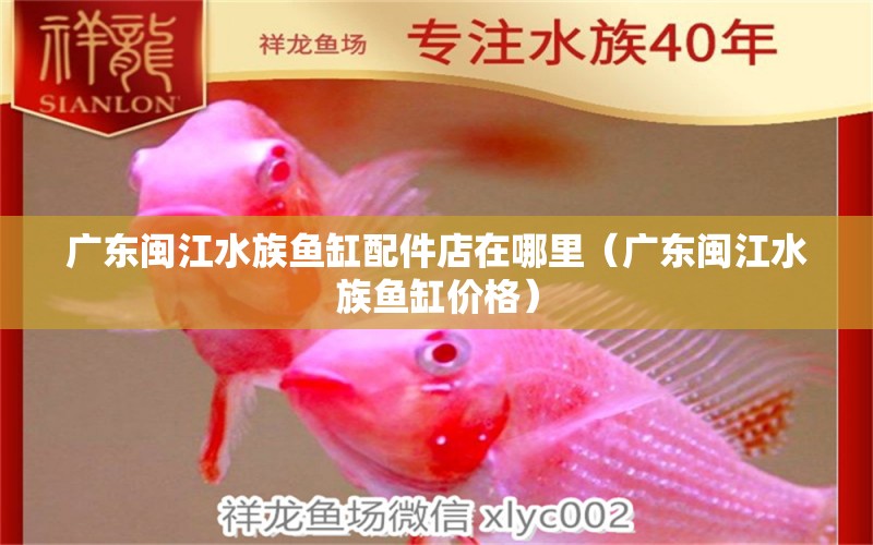 廣東閩江水族魚缸配件店在哪里（廣東閩江水族魚缸價格） 龍魚疾病與治療