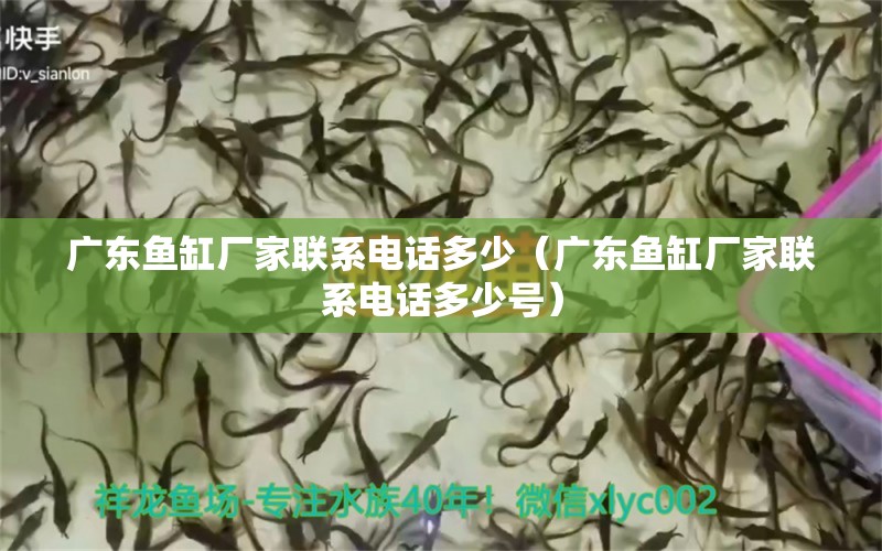 廣東魚(yú)缸廠家聯(lián)系電話(huà)多少（廣東魚(yú)缸廠家聯(lián)系電話(huà)多少號(hào)）