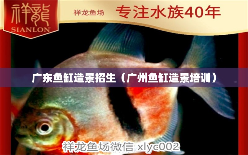 廣東魚(yú)缸造景招生（廣州魚(yú)缸造景培訓(xùn)）