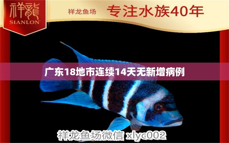 廣東18地市連續(xù)14天無新增病例 龍魚疾病與治療