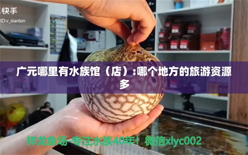 廣元哪里有水族館（店）:哪個地方的旅游資源多 觀賞魚水族批發(fā)市場