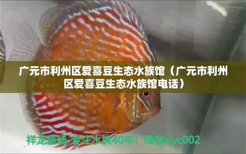 廣元市利州區(qū)愛喜豆生態(tài)水族館（廣元市利州區(qū)愛喜豆生態(tài)水族館電話） 全國水族館企業(yè)名錄