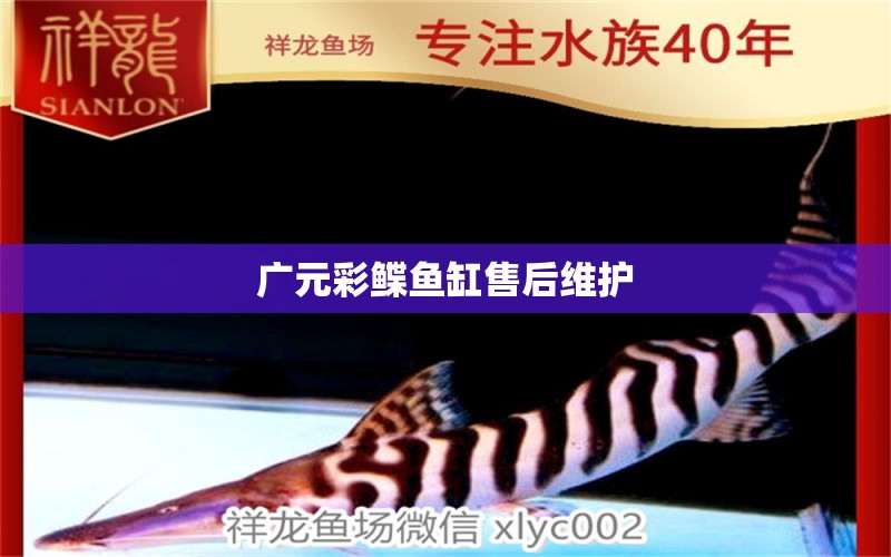 廣元彩鰈魚缸售后維護(hù) 彩鰈魚缸（彩蝶魚缸）