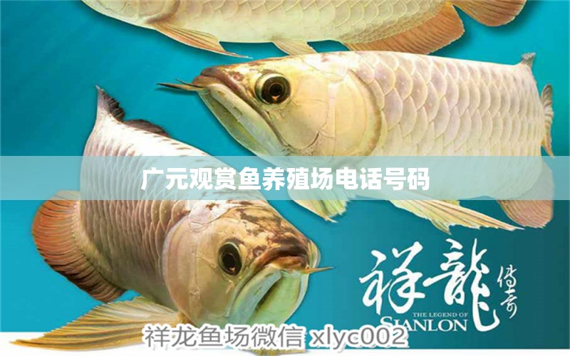 廣元觀賞魚養(yǎng)殖場電話號碼