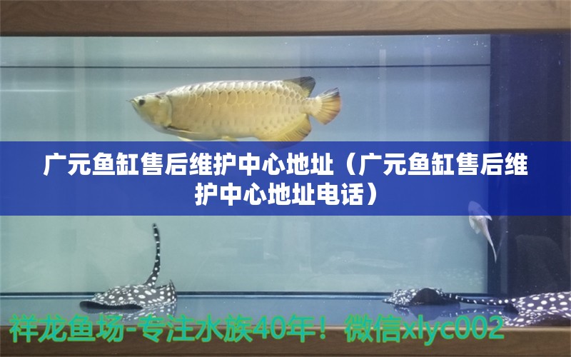 廣元魚缸售后維護中心地址（廣元魚缸售后維護中心地址電話）