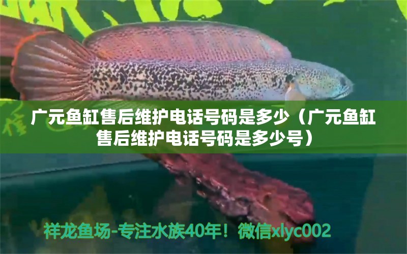 廣元魚(yú)缸售后維護(hù)電話號(hào)碼是多少（廣元魚(yú)缸售后維護(hù)電話號(hào)碼是多少號(hào)）