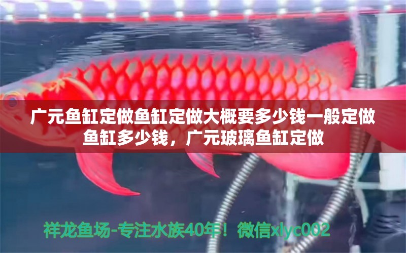 廣元魚缸定做魚缸定做大概要多少錢一般定做魚缸多少錢，廣元玻璃魚缸定做