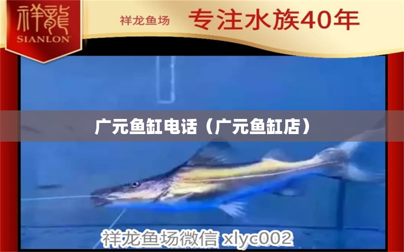 廣元魚缸電話（廣元魚缸店） 祥龍水族醫(yī)院