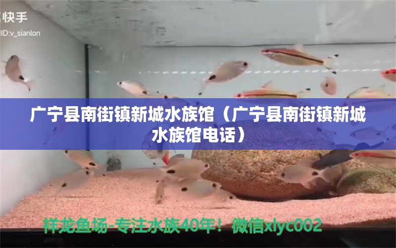 廣寧縣南街鎮(zhèn)新城水族館（廣寧縣南街鎮(zhèn)新城水族館電話） 全國(guó)水族館企業(yè)名錄