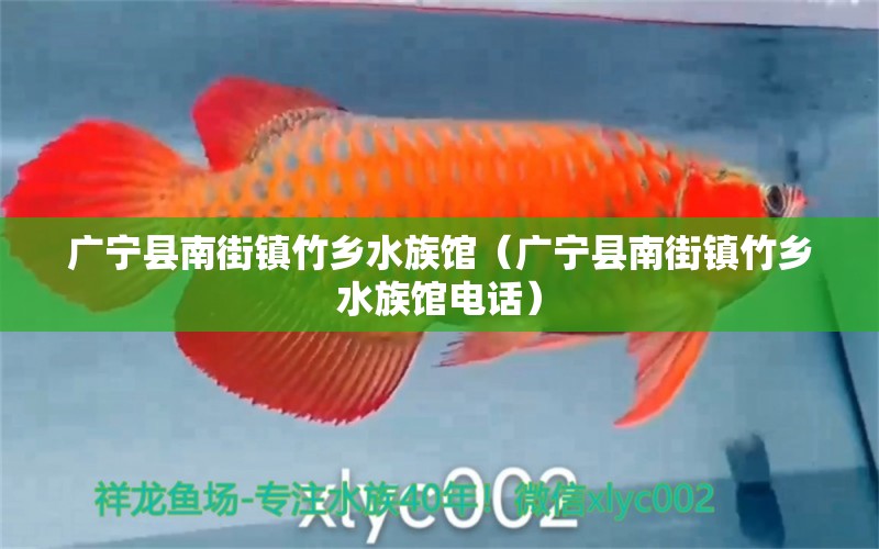 廣寧縣南街鎮(zhèn)竹鄉(xiāng)水族館（廣寧縣南街鎮(zhèn)竹鄉(xiāng)水族館電話）