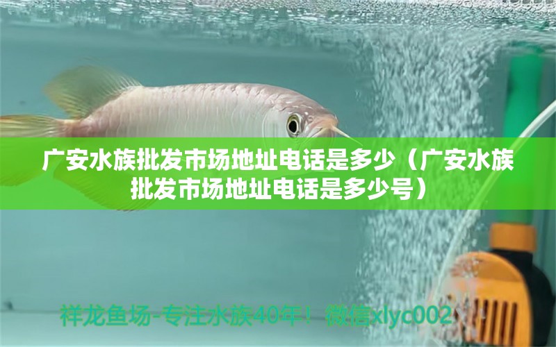 廣安水族批發(fā)市場地址電話是多少（廣安水族批發(fā)市場地址電話是多少號） 觀賞魚水族批發(fā)市場