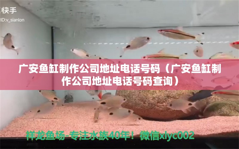 廣安魚缸制作公司地址電話號碼（廣安魚缸制作公司地址電話號碼查詢）