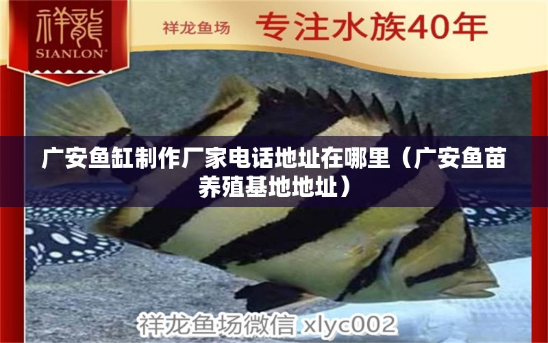 廣安魚缸制作廠家電話地址在哪里（廣安魚苗養(yǎng)殖基地地址）