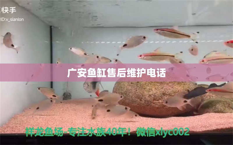 廣安魚缸售后維護(hù)電話 其他品牌魚缸