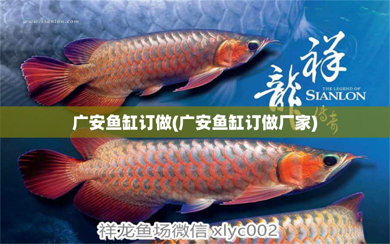 廣安魚缸訂做(廣安魚缸訂做廠家)