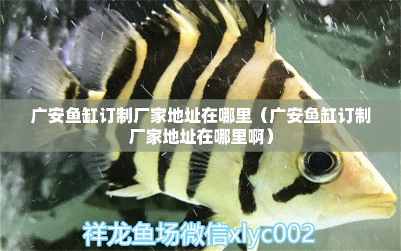 廣安魚缸訂制廠家地址在哪里（廣安魚缸訂制廠家地址在哪里?。? title=