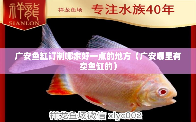 廣安魚缸訂制哪家好一點(diǎn)的地方（廣安哪里有賣魚缸的） 祥龍水族醫(yī)院