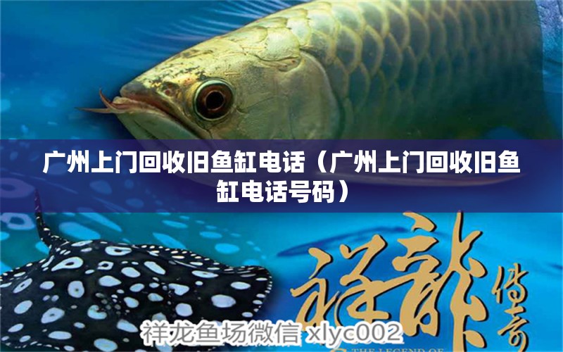 廣州上門回收舊魚缸電話（廣州上門回收舊魚缸電話號(hào)碼） 祥龍水族醫(yī)院