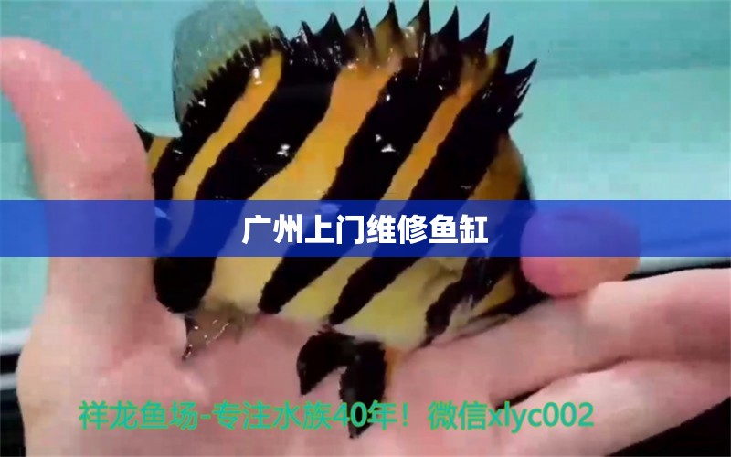 廣州上門維修魚缸 其他品牌魚缸