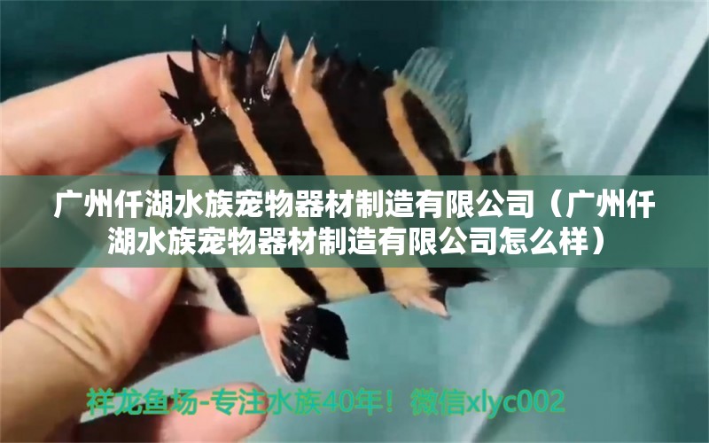 廣州仟湖水族寵物器材制造有限公司（廣州仟湖水族寵物器材制造有限公司怎么樣） 仟湖