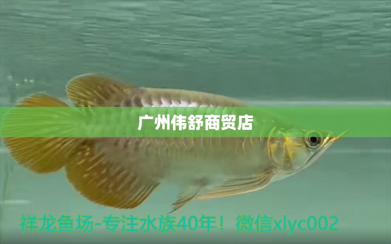 廣州偉舒商貿(mào)店 全國水族館企業(yè)名錄